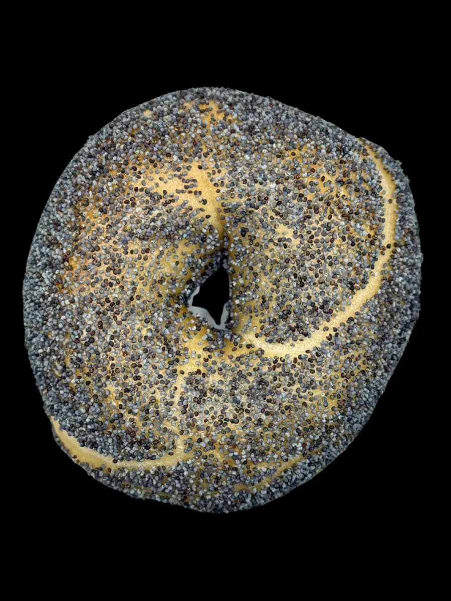 Poppy bagel